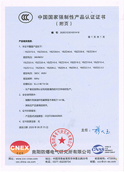 振动源隔爆型三相异步电动机